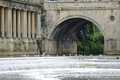 DSC_2577 (Large).JPG